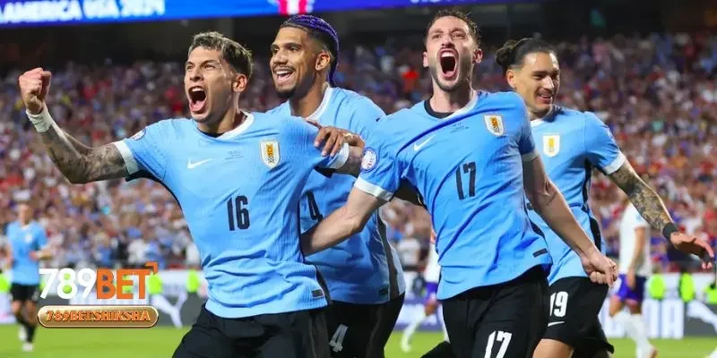 Các danh hiệu đáng chú ý của đội tuyển Uruguay