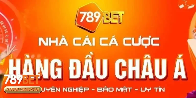 Chính sách bảo mật và giới thiệu 789bet hỗ trợ khách hàng chuyên nghiệp