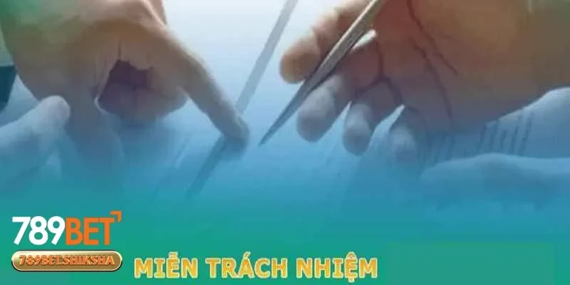 Không đảm bảo trải nghiệm không gián đoạn với miễn trừ trách nhiệm