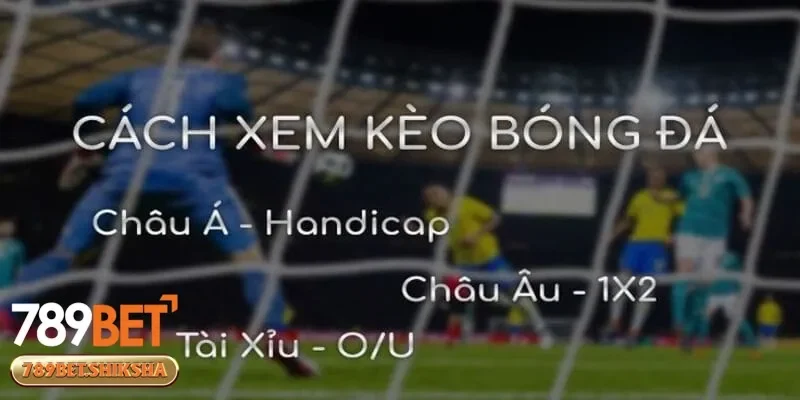 Những cách xem kèo bóng đá hiệu quả và dễ thắng cược