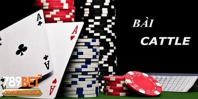 Tập luyện và trải nghiệm cách chơi bài cát tê để nâng cao kỹ năng