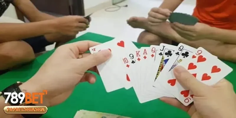 Tính toán và làm chủ nhịp độ trên bàn cược bài câu cá